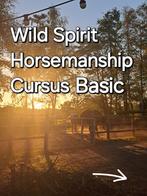 Lessen natural horsemanship, Dieren en Toebehoren, Ophalen