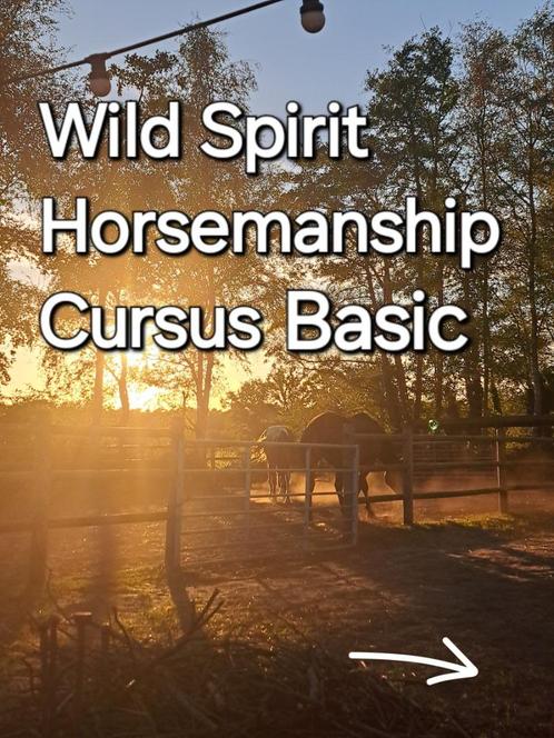 Lessen natural horsemanship, Dieren en Toebehoren, Overige Dieren-accessoires, Ophalen