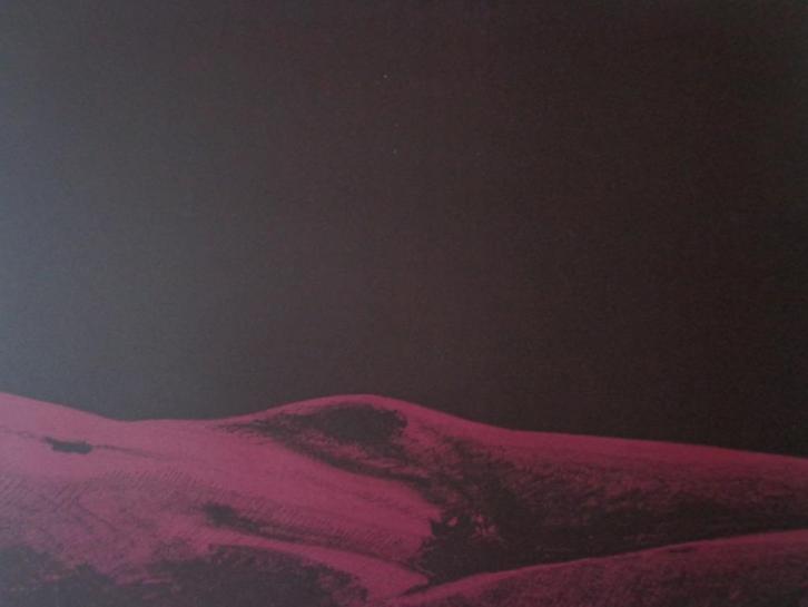 litho liggende naakte vrouw in bordeauxrood Paul Verbeeck, Antiek en Kunst, Kunst | Litho's en Zeefdrukken, Ophalen of Verzenden