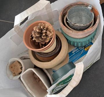 Allerlei bloempotjes GRATIS  beschikbaar voor biedingen