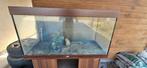 Juwel Rio aquarium 300 liter, Dieren en Toebehoren, Ophalen, Gebruikt, Leeg aquarium