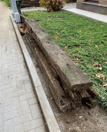 Treinbielzen gratis beschikbaar voor biedingen