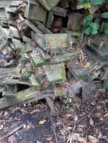 Gratis hout, Enlèvement, Autres essences de bois