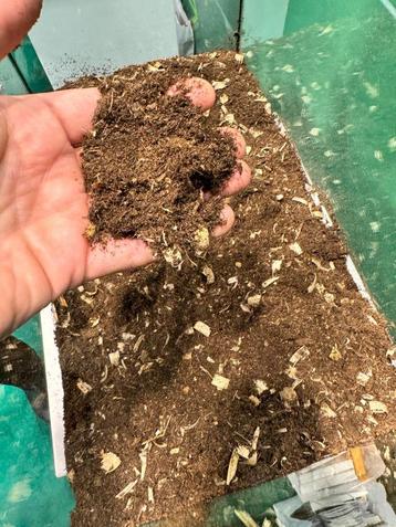 Turf met zaagsel beschikbaar voor biedingen