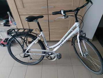 Damesfiets thompson 🚴‍♀️🚴‍♀️28 inch.geen koerir  beschikbaar voor biedingen