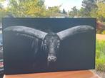 Canvas zwart-wit os/stier/rund, Ophalen, 50 tot 75 cm, 125 cm of meer, Zo goed als nieuw
