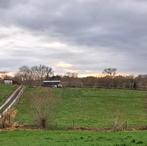 weide te huur, Pâturage, 4 chevaux ou poneys ou plus