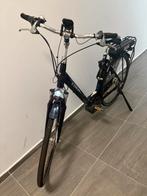 Elektrische danes trek fiets 29inch, Ophalen, Zo goed als nieuw