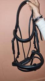 Bridon Antares signature dressage NEUF, Enlèvement ou Envoi, Comme neuf, Dressage