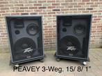 PEAVEY 3-Weg. 15/ 8/ 1” zie omschrijving, Front, Rear of Stereo speakers, Gebruikt, 120 watt of meer, Ophalen