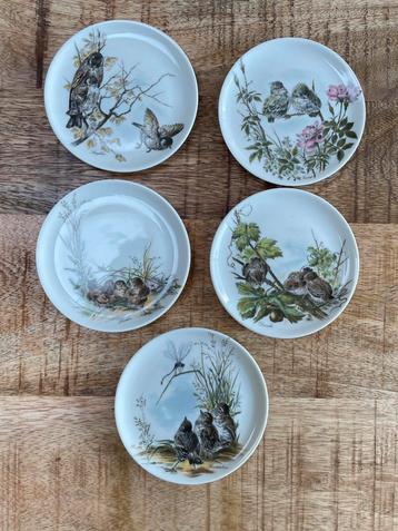 Antiek 5 mini bavaria bordjes met vogels beschikbaar voor biedingen
