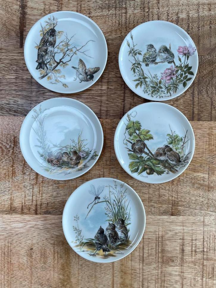 Antiek 5 mini bavaria bordjes met vogels, Antiek en Kunst, Antiek | Servies los, Ophalen of Verzenden