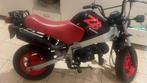 Honda Zb 50 Belgisch model, Fietsen en Brommers, Ophalen, Gebruikt, Overige modellen, Klasse B (45 km/u)