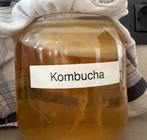 Kombutcha: scoby met startersvloeistof en recept, Diversen, Levensmiddelen, Ophalen