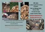 bois de chauffage rien avant livraison, Tuin en Terras, Brandhout, 6 m³ of meer, Verzenden, Beukenhout, Blokken