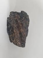 Triceratops- rib stuk, Ophalen of Verzenden, Fossiel