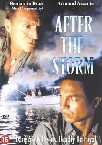 After the Storm (2001) Dvd Zeldzaam ! Armand Assante