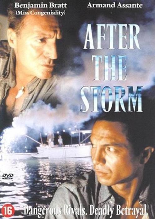 After the Storm (2001) Dvd Zeldzaam ! Armand Assante, Cd's en Dvd's, Dvd's | Actie, Gebruikt, Actiethriller, Vanaf 16 jaar, Ophalen of Verzenden