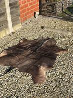 Taxidermie gnoe vel huid tapijt, Ophalen