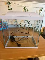 Superfish aquarium 20, Dieren en Toebehoren, Vissen | Aquaria en Toebehoren, Ophalen, Zo goed als nieuw