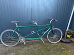Trek tandem fiets, Fietsen en Brommers, Ophalen, Zo goed als nieuw, Minder dan 10 versnellingen