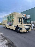 Daf Vrachtwagen Bloemen/Planten Verkoop, Automaat, Euro 5, Beige, Diesel