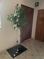 Namaak plant, Ophalen, Zo goed als nieuw