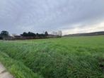 vruchtbare landbouwgrond te koop tussen Brussel en Leuven, Immo, Gronden en Bouwgronden, Herent, Verkoop zonder makelaar, 1500 m² of meer