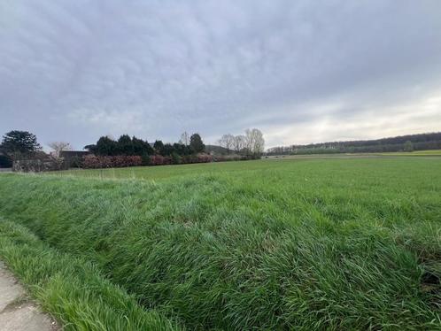 vruchtbare landbouwgrond te koop tussen Brussel en Leuven, Immo, Gronden en Bouwgronden, 1500 m² of meer, Verkoop zonder makelaar