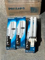 Philips Master PLS 7W/827/2P, Ophalen of Verzenden, Nieuw