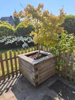 grote bloempot + boom, Ophalen