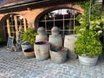 Wijnvaten, Tuin en Terras, Regentonnen, 150 liter of meer, Ophalen, Hout