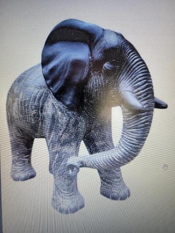 Olifant beschikbaar voor biedingen