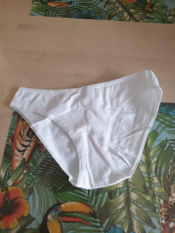Mylene home & interieur meisjes verso slip 164 NIEUW, Kinderen en Baby's, Kinderkleding | Maat 164, Nieuw, Ophalen of Verzenden