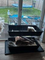 2-delig konijnenhok MET ALLES!!!! ZIE FOTOS., Ophalen, 90 cm of meer, Konijn, Hok