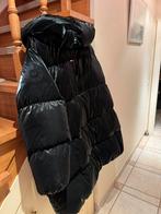 Winterjas Tommy Hilfiger, Vêtements | Femmes, Vestes | Hiver, Enlèvement, Comme neuf, Taille 46/48 (XL) ou plus grande, Noir