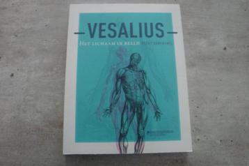 VESALIUS- HET LICHAAM IN BEELD beschikbaar voor biedingen