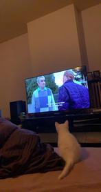 Samsung Crystal UHD 55AU7100, Ophalen, 50 Hz, Samsung, 100 cm of meer