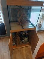 Aquarium, Animaux & Accessoires, Enlèvement, Comme neuf, Aquarium vide