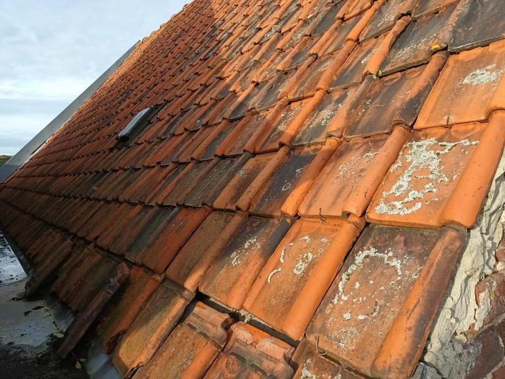 dakpannen (sterreberg), Doe-het-zelf en Bouw, Dakpannen en Dakbedekking, Gebruikt, Dakpannen, Steen of Klei, Rood, 15 m² of meer