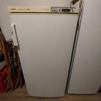 Diepvrieskast, Elektronische apparatuur, Vriezers en Diepvrieskisten, Gebruikt, 120 tot 140 cm, Ophalen, Vrieskast