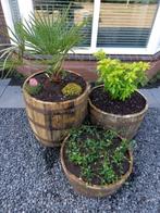 Whiskyvaten 190 L - bloembak - regenton - eikenhout - tuin, Tuin en Terras, Ophalen, Met kraantje, 150 liter of meer, Zo goed als nieuw