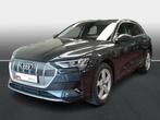 Audi e-tron 95 kWh 55 Quattro Advanced, Autos, Audi, SUV ou Tout-terrain, Argent ou Gris, Automatique, Toit ouvrant