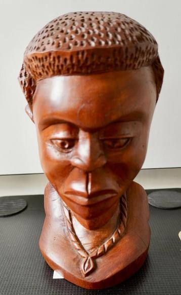Hardhouten buste van een Afrikaanse man (Congo) beschikbaar voor biedingen