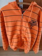 Trui dames maat xl, Kleding | Dames, Truien en Vesten, Ophalen, Zo goed als nieuw, Maat 46/48 (XL) of groter