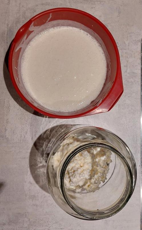 melkkefir bloemmetjes 100 gram, Diversen, Levensmiddelen, Ophalen of Verzenden
