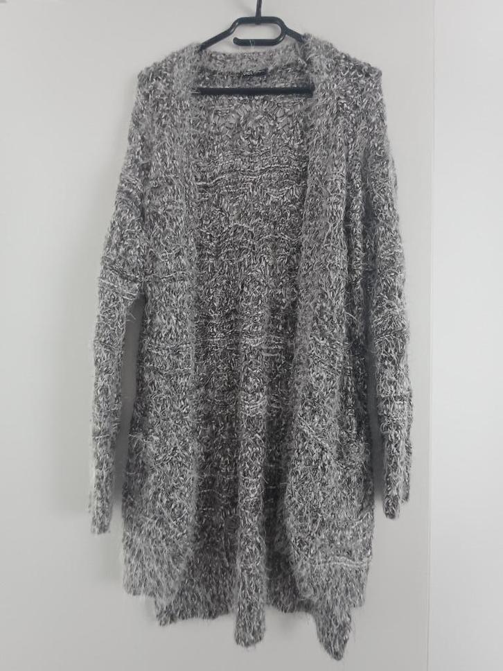 Didi - mooie & warme cardigan (mt L), Kleding | Dames, Truien en Vesten, Gedragen, Maat 42/44 (L), Wit, Ophalen of Verzenden
