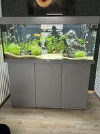 Aquarium juwel rio 250, Comme neuf