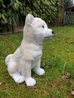 betonnen tuinbeeld van een hond , uitverkoop, Ophalen of Verzenden, Nieuw