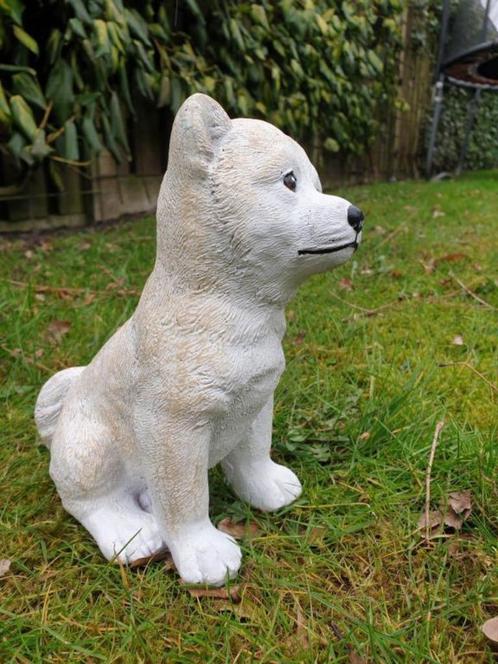 betonnen tuinbeeld van een hond , uitverkoop, Tuin en Terras, Tuinbeelden, Nieuw, Ophalen of Verzenden